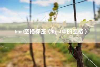 html空格标签（Html中的空格）