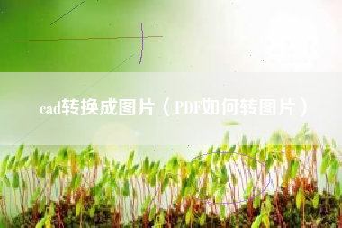 cad转换成图片（PDF如何转图片）
