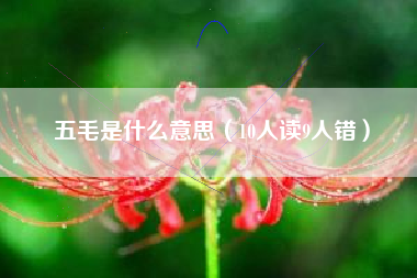 五毛是什么意思(10人读9人错)