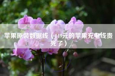 苹果原装数据线（149元的苹果充电线贵死了）