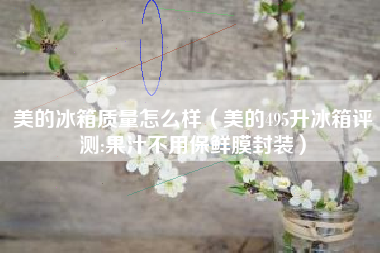 美的冰箱质量怎么样（美的495升冰箱评测:果汁不用保鲜膜封装）