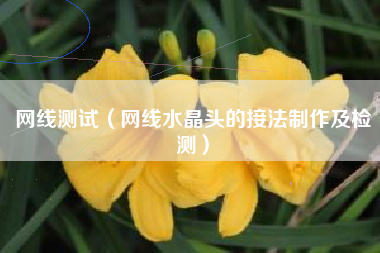 网线测试（网线水晶头的接法制作及检测）