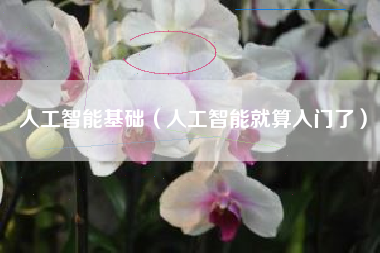 人工智能基础（人工智能就算入门了）