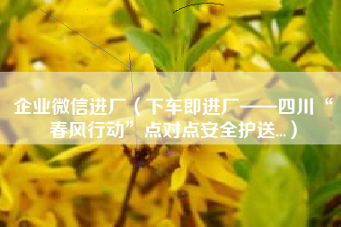 企业微信进厂(下车即进厂——四川“春风行动”点对点安全护送...)