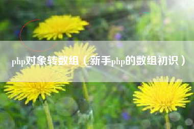 php对象转数组（新手php的数组初识）