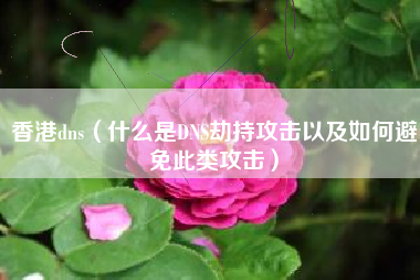 香港dns（什么是DNS劫持攻击以及如何避免此类攻击）