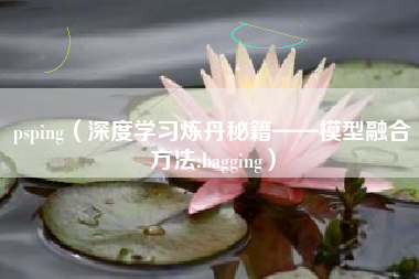 psping（深度学习炼丹秘籍——模型融合方法:bagging）
