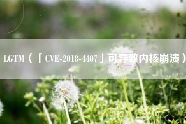 LGTM（「CVE-2018-4407」可导致内核崩溃）