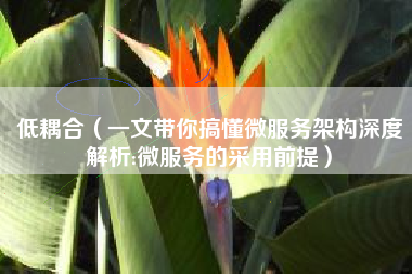 低耦合(一文带你搞懂微服务架构深度解析:微服务的采用前提)