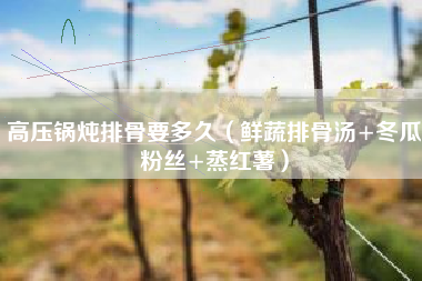 高压锅炖排骨要多久（鲜蔬排骨汤+冬瓜粉丝+蒸红薯）