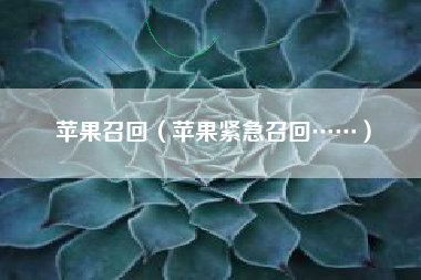 苹果召回（苹果紧急召回……）
