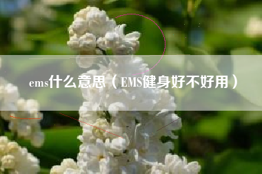 ems什么意思（EMS健身好不好用）