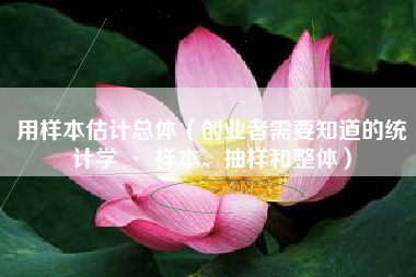 用样本估计总体（创业者需要知道的统计学 · 样本、抽样和整体）