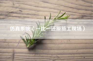 仿真系统（一比一还原施工现场）