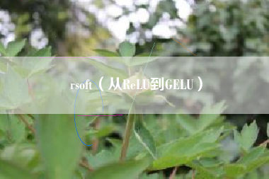 rsoft(从ReLU到GELU)