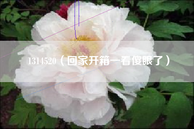 1314520（回家开箱一看傻眼了）