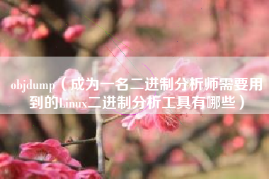 objdump（成为一名二进制分析师需要用到的Linux二进制分析工具有哪些）
