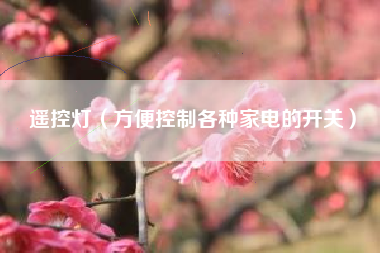 遥控灯（方便控制各种家电的开关）