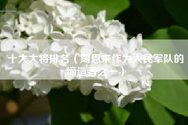 十大大将排名(周恩来作为人民军队的缔造者之一)