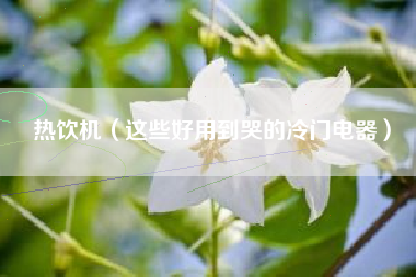 热饮机（这些好用到哭的冷门电器）