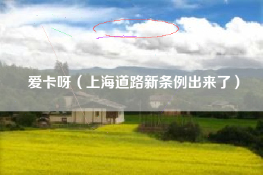 爱卡呀（上海道路新条例出来了）