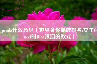 prada什么意思(世界奢侈品牌排名:女生Gucci时Dior眼泪的款式)