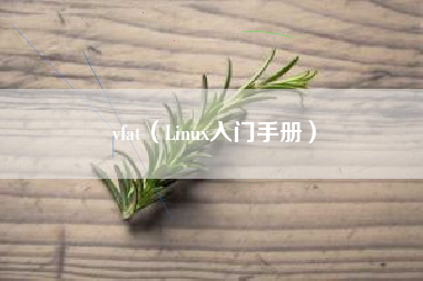vfat（Linux入门手册）