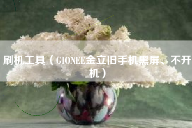 刷机工具（GIONEE金立旧手机黑屏、不开机）