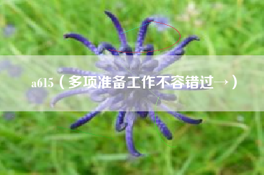 a615（多项准备工作不容错过→）