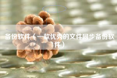 备份软件(一款优秀的文件同步备份软件)