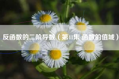 反函数的二阶导数（第41集 函数的值域）