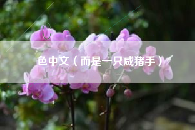 色中文(而是一只咸猪手)