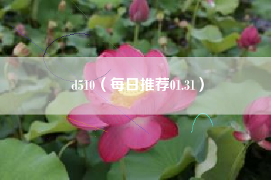 d510（每日推荐01.31）