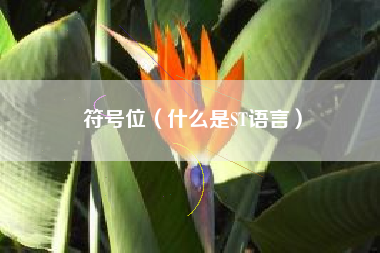符号位(什么是ST语言)