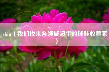 sbin(我们找来各领域超牛的球鞋收藏家)