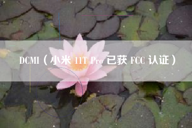 DCMI（小米 11T Pro 已获 FCC 认证）