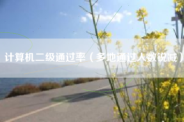 计算机二级通过率（多地通过人数锐减）