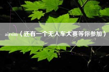 airsim（还有一个无人车大赛等你参加）