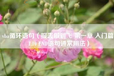 vba循环语句（报表做到飞 第一章 入门篇 1.10 END语句通常用法）