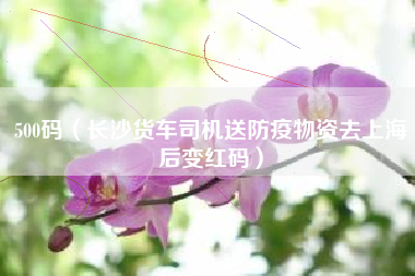 500码(长沙货车司机送防疫物资去上海后变红码)