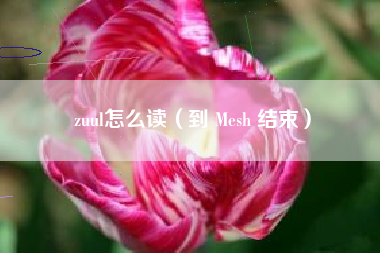zuul怎么读(到 Mesh 结束)