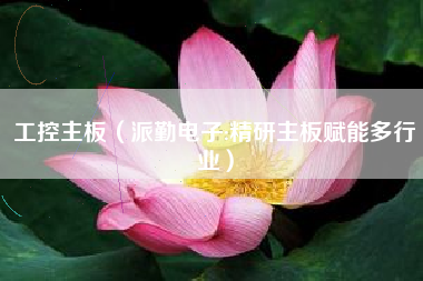 工控主板(派勤电子:精研主板赋能多行业)