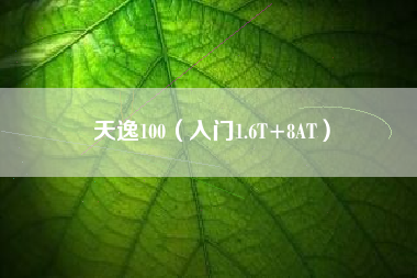天逸100(入门1.6T+8AT)