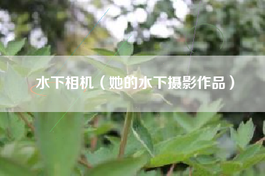 水下相机(她的水下摄影作品)