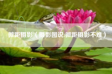 微距摄影（摄影图说:微距摄影不难）