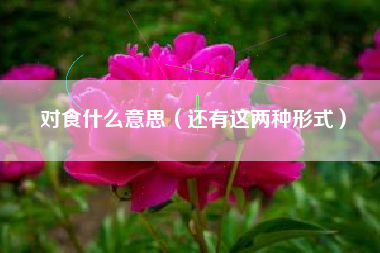 对食什么意思(还有这两种形式)