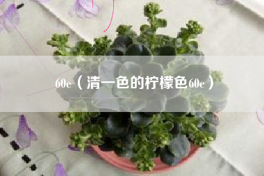 详细阅读:60e(清一色的柠檬色60e) 60e(清一色的柠檬色60e)