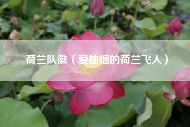 荷兰队徽（爱抽烟的荷兰飞人）