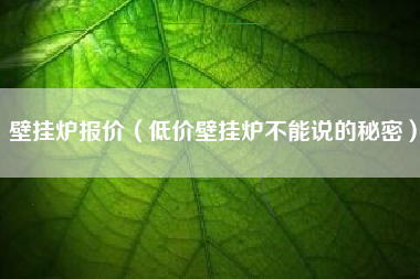 壁挂炉报价(低价壁挂炉不能说的秘密)