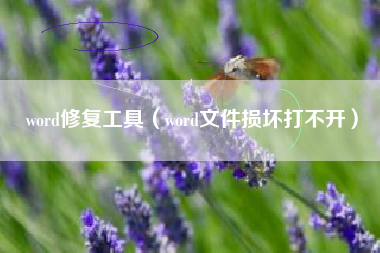 word修复工具（word文件损坏打不开）